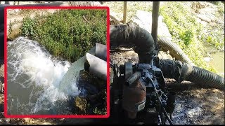 Users Of Used Diesel Pumps And Rubbish Make Agricultural Irrigation Hundreds of Rice Fields [upl. by Daahsar]