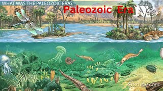 Paleozoic era CambriaPeriod OrdovicianPeriod SilurianDevonian Carboniferous tetrapods [upl. by Laughry]