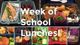 School Lunches For The Week  March 2017  Bento Lunch Using Yumbox Tapas Panino and Sistema [upl. by Attena757]