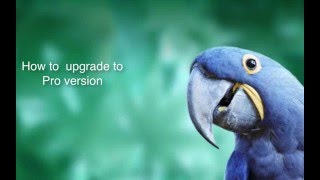 Callnote Tutorial How to Upgrade to Callnote Pro Version [upl. by Piero993]