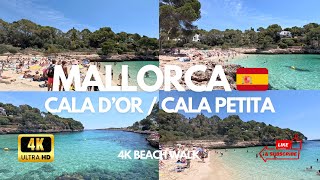 Mallorca 🇪🇸 Amazing Cala Dor  Cala Petita Beach  4K Beach Tour ⛱️😍 [upl. by Sheya]