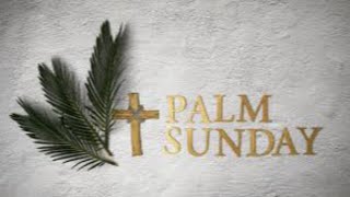 Palm Sunday 32424 [upl. by Ahsieyn559]