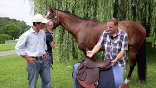 How to do a proper Saddle Fitting for you and your horse [upl. by Ardnik466]