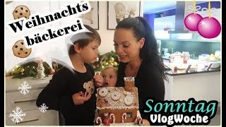 AußendekoTannenbaumKnusperhausSonntagZwillings Family VLOGMel´s Kanal [upl. by Oniliuqnart971]