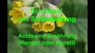 Achtsame Ernährung – Hunger oder Appetit [upl. by Nell317]