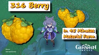 316 Berry in 45 Minutes Liyue Region  Genshin Impact  Material Farm [upl. by Clary135]