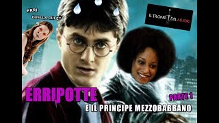 RIASSUNTO ACCURATISSIMO HARRY POTTER quotERRIPOTTE E IL PRINCIPE MEZZOBABBANOquot PT1 [upl. by Dannie586]