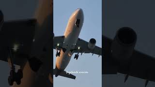 UPS Airbus A300 Takeoff from Burbank Airport [upl. by Anilave]