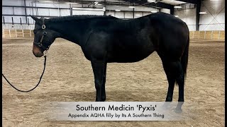 Southern Medicine Pyxis [upl. by Ornstead]