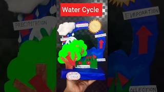 Water Cycle Model  How to make Water Cycle diy project schoolproject watercycle science model [upl. by Eatnahc]