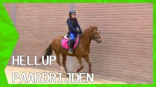 Hellup Paardrijden met Jeroen Dubbeldam  ZAPPSPORT [upl. by Mojgan112]