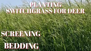 Top 5 Switchgrass planting tips [upl. by Scevour]