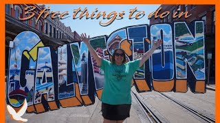 3 Free Things To Do In Galveston Island Texas [upl. by Ecinereb671]