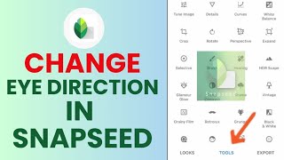 How to Change Eye Direction in Snapseed 2024 [upl. by Serica]