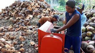 Mesin pengupas kelapa produksi jalur 5 banyuasin sumatera selatan [upl. by Etsyrk224]