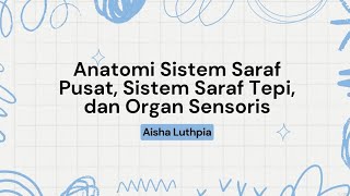 Tugas Anatomi Sistem Saraf Pusat Sistem Saraf Tepi dan Organ Sensoros [upl. by Follansbee]