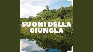 Suoni della giungla [upl. by Stefano]