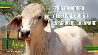 Feria Ganadera y Festival Equino Aguazul Casanare  TvAgro por Juan Gonzalo Angel [upl. by Enirok552]