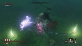 Sekiro hitless Boss 41 Headless 4 [upl. by Dlarrej]