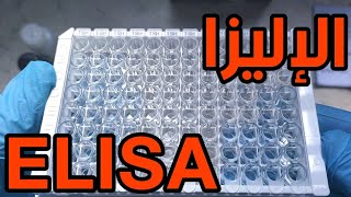 شرح نظري وعملي تقنية الإليزا ELISA Enzyme Linked Immunosorbent Assay [upl. by Adnopoz]