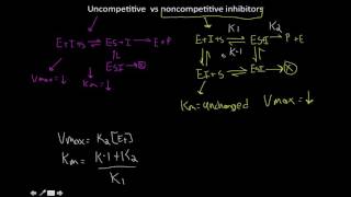 uncompetitive vs noncompetitive inhibitors [upl. by Asina160]