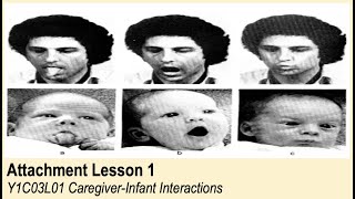 ALevel Psychology AQA Attachment  CaregiverInfant Interactions [upl. by Quiteria]