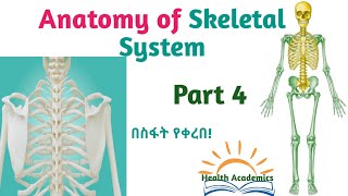 Anatomy of Skeletal System Supportive Video Lecture with Amharic Speech Part 4 [upl. by Emily]