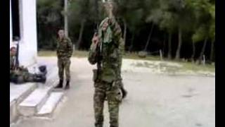 greek army bin ladden [upl. by Eiromem]