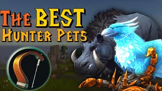 Best Hunter Pets for Raids Dungeons Delves and PvP [upl. by Joaquin]