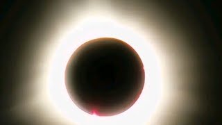 Solar Eclipse 2024 Must Watch The Unexpected Happens [upl. by Allix]