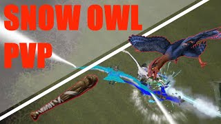 ARK Official PvP Snow Owl  Microraptor  OP [upl. by Broderick186]