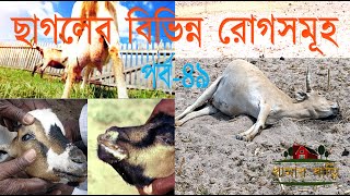 ছাগলের ১০টি মারাত্মক রোগ সম্পর্কে জেনে নেই – খামার বাড়ি Khamar Bari পর্ব৪৯ [upl. by Luelle]