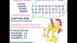 Bioinformatics practical introduction [upl. by Yanej]