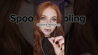 ASMR  Spoolie nibbling there might be a full video like this going live tomorrow night 👀🤫 [upl. by Ihskaneem626]