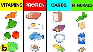 How The Six Basic Nutrients Affect Your Body [upl. by Arodaeht]