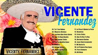 VICENTE FERNANDEZ MIX ROMANTICAS VIEJITAS PARA ADOLORIDOS GRANDES EXITOS DE COLECCION [upl. by Slotnick]