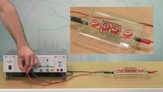 Magnetfeld einer Spule Visualisierung mit Magnetnadeln [upl. by Anizor]