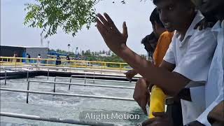 Effluent Treatment Plant process in tamil [upl. by Paolina]