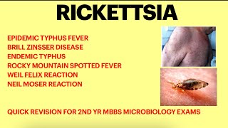 Rickettsia  Microbiology  Typhus fever  Weil felix test Rickettsial infection [upl. by Zetra]