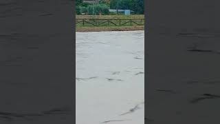 😱 FIUME FRIGIDO IN PIENA TOSCANA 🌧 [upl. by Ahseekal]