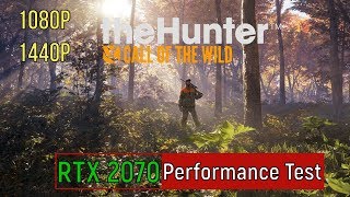 theHunter Call of the Wild  RTX 2070 Performance Test 1080p  1440p [upl. by Alsi27]