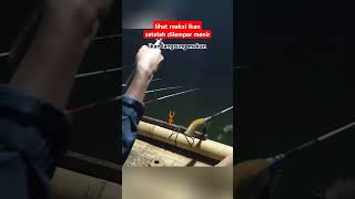 cara mancing ikan nila yang susah makan mancing saguling terbaru [upl. by Aivatra]