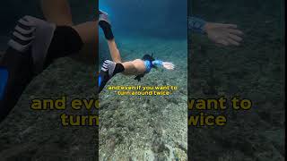 How to stay longer underwater while snorkeling [upl. by Ykcir]