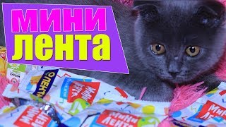 КОТ БАТТЕРС МИНИ ЛЕНТА ИГРУШКИ АКЦИЯ ЧЕЛЛЕНДЖ ВСЯ МОЯ КОЛЛЕКЦИЯ РАСПАКОВКА [upl. by Jenelle104]