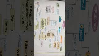 Concept map of Reproduction in Animals Class 8 NCERT CBSEICSE shortvideotrendingshortvideo [upl. by Hna]