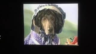 Sesame Street William Wegman To Market Nursery Rhymes 1999 [upl. by Darbie99]