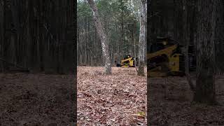 CAT 285 Forestry Mulcher Demo forestrymulching caterpillar heavyequipment asmr [upl. by Adnohsar]