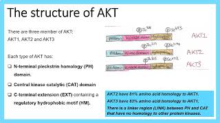 Understanding Cancer Lecture 8 PI3KAKTmTOR pathway normal and dysregulated [upl. by Yerffe]