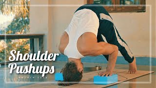 Shoulder Push Ups  Pike Push Ups for beginners [upl. by Amorette583]