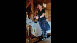 50 Plus Equestrian Posting Trot on the Equicizer [upl. by Madelina]